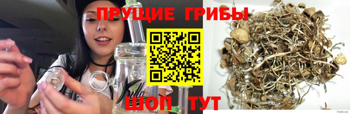Галлюциногенные грибы MAGIC MUSHROOMS  Псилоцибиновые грибы ЛСД  Артёмовский  Вход с VPN 